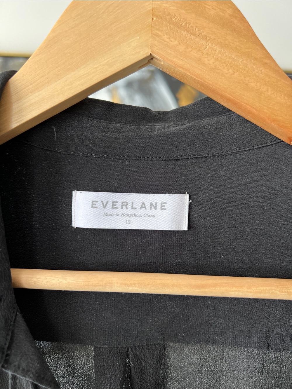Everlane Washable Silk Shirt